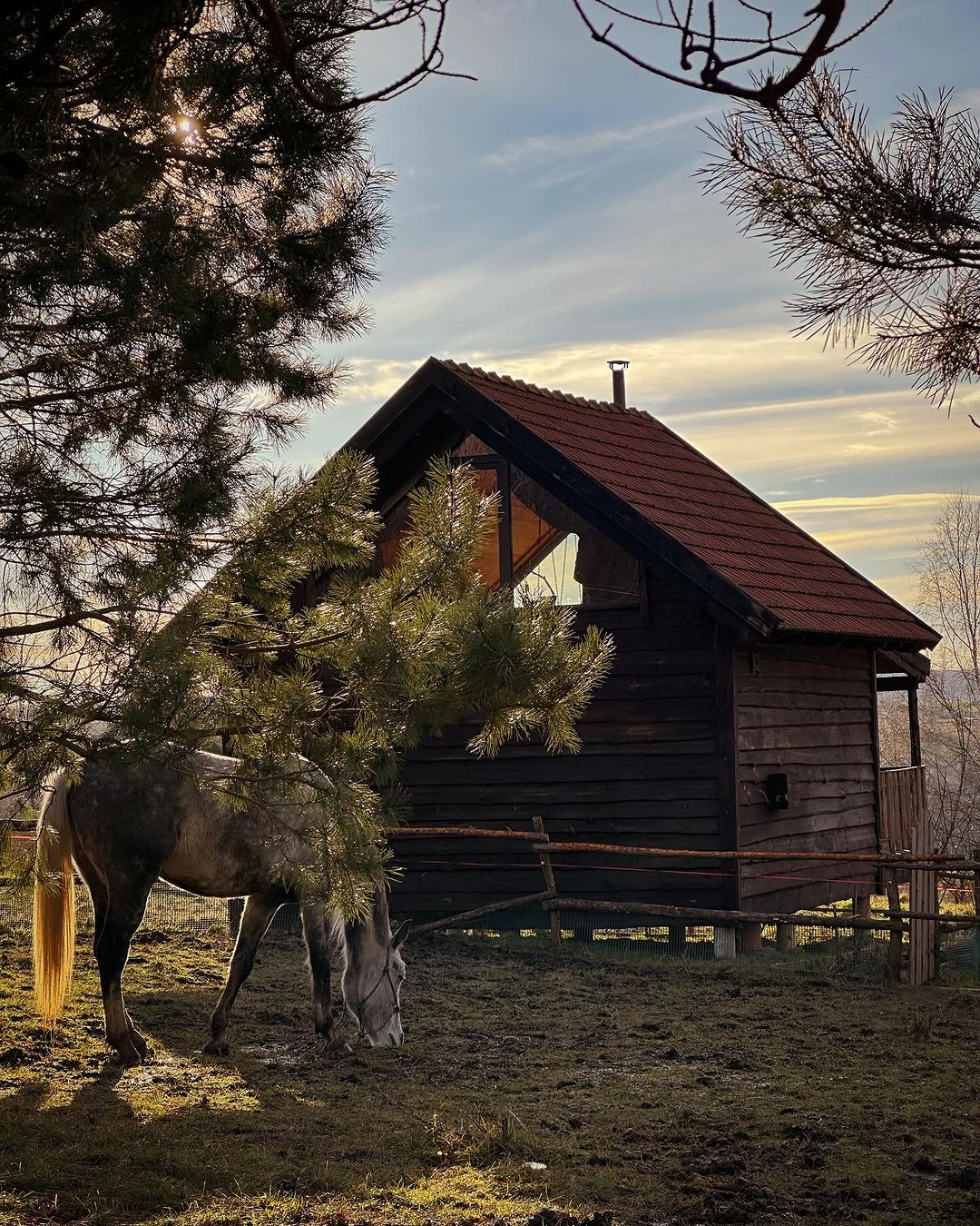 The Cowboy Cabin