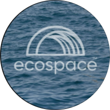 Ecospace